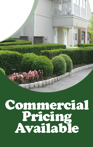 commercial pricing
